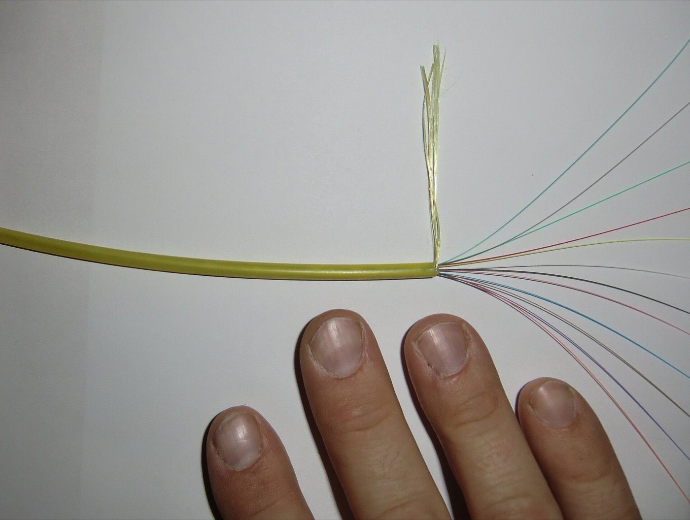 Faisceau de fibres optiques